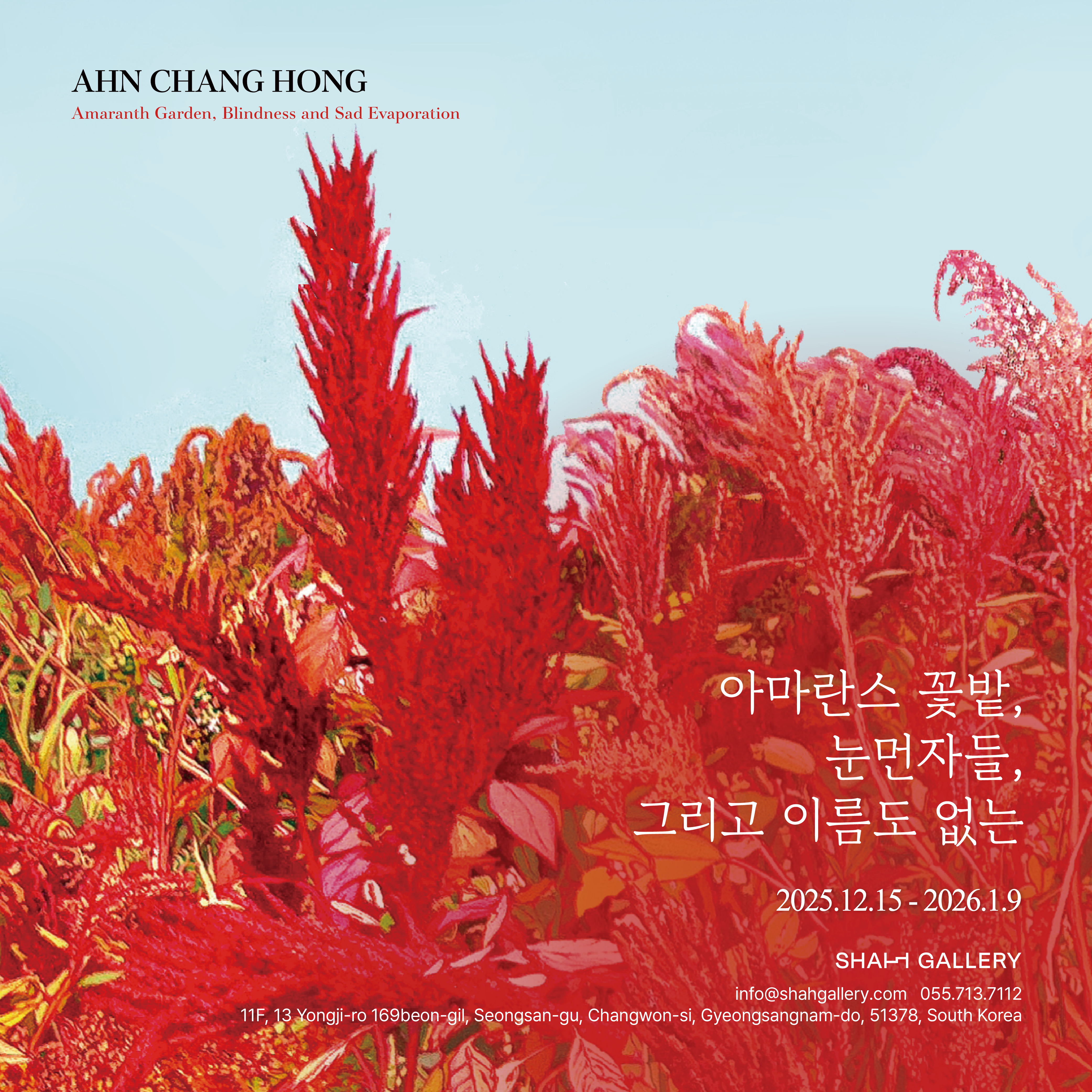 아마란스 꽃밭, 눈먼자들, 그리고 이름도 없는