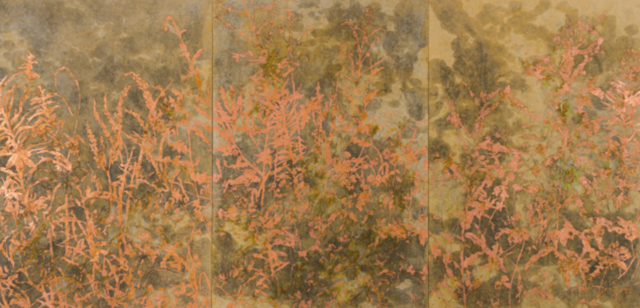 도내 청년작가 3인 예술세계 ‘한눈에’